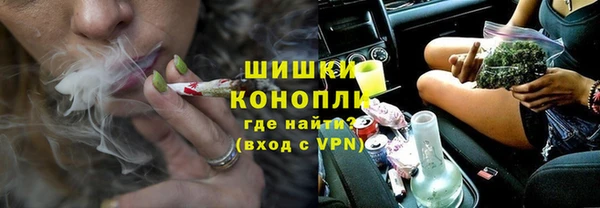 ГАЛЛЮЦИНОГЕННЫЕ ГРИБЫ Аркадак