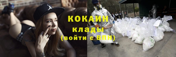 ГАЛЛЮЦИНОГЕННЫЕ ГРИБЫ Аркадак