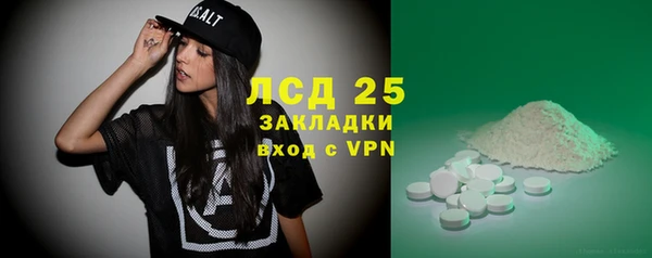 ГАЛЛЮЦИНОГЕННЫЕ ГРИБЫ Аркадак