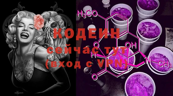 ГАЛЛЮЦИНОГЕННЫЕ ГРИБЫ Аркадак