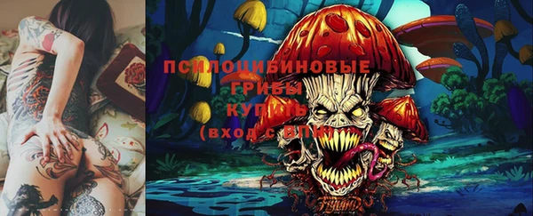 гидропоника Арсеньев