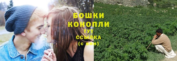 гидропоника Арсеньев