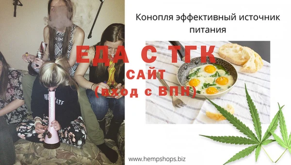 ГАЛЛЮЦИНОГЕННЫЕ ГРИБЫ Аркадак