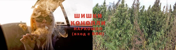 ГАЛЛЮЦИНОГЕННЫЕ ГРИБЫ Аркадак
